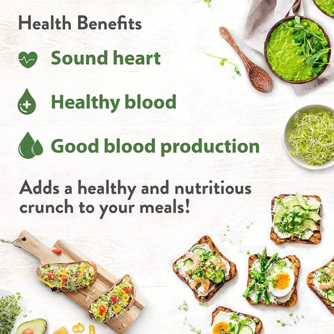 Image showing health benefits and recipes with Alfalfa Sprout Seeds 8 Oz Bulk Heirloom Non GMO USA Sourced High Germination Fast Growing.