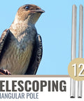 Purple Martin Birdhouse Tri Tel Mounting Pole 12 Foot Telescoping Aluminum Pole next to a purple martin bird.