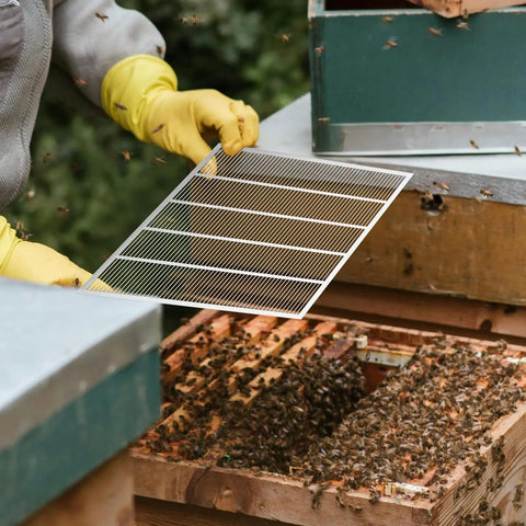 Beekeeper holding Two Pack Metal Queen Excluder For Beehives 10 Frame Size Pro Grade Durable Beekeeping Tool over beehive