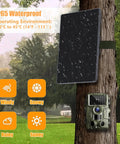 Rugged Trail Camera Solar Panel And 6W Solar Charger Kit mounted on a tree in a rainy forest, IP65 waterproof outdoor power solution.