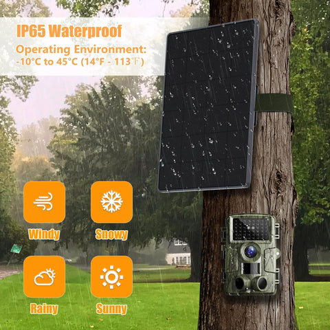 Rugged Trail Camera Solar Panel And 6W Solar Charger Kit mounted on a tree in a rainy forest, IP65 waterproof outdoor power solution.