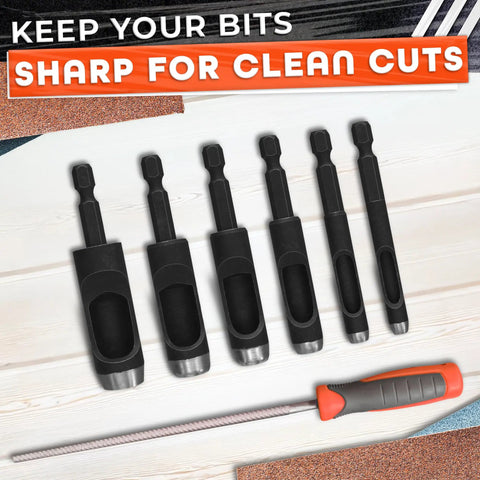 Hole Punch Kit For Leather Belts And Crafts Six Sizes Carbon Steel Punches displayed with file