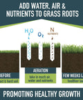 Infographic showing lawn aeration process with Pro Grade Spike Lawn Aerator With Heavy Duty Rolling Design For Lawn And Garden