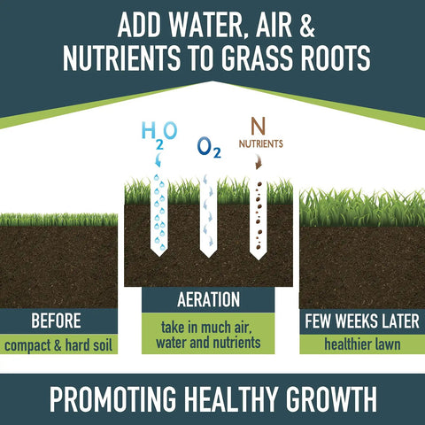 Infographic showing lawn aeration process with Pro Grade Spike Lawn Aerator With Heavy Duty Rolling Design For Lawn And Garden