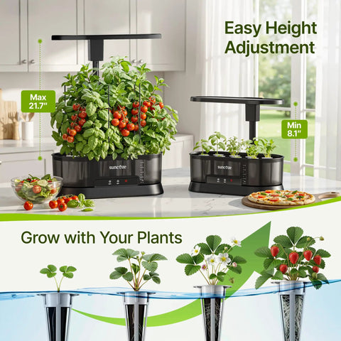 Indoor setup of Hydroponic Growing System With Removable Water Tank 36W Dimmable Full Spectrum LED Grow Light 12 Pod Indoor Herb Garden