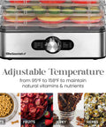 Kitchen Workhorse Food Dehydrator Featuring Durable Stainless Steel Trays And Adjustable Temperature Dials with stacked fruits.