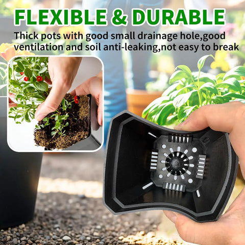 60 Pcs Square Nursery Pots 3 Inch Deep Plastic Seed Starter Germination Pots For Plants Succulents And Flowers with drainage