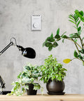 Manual 4 Wire Line Voltage Baseboard Thermostat For Electric Heaters No Frills mounted on wall