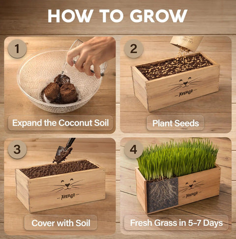 Indoor Cat Grass Kit With Four Seed Packets, Wooden Planter, Coconut Coir Soil Discs, And Mini Tools For Nipping And Nibbling