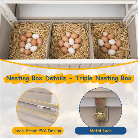 Outdoor Chicken Coop For 2-4 Chickens, Elevated 2-Tier Hen House With 3-Compartment Nest detail with eggs in each box.