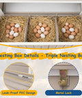 Triple nesting box with eggs in Outdoor Wooden Chicken Coop For Four To Six Chickens With An Elevated Two Tier Hen House