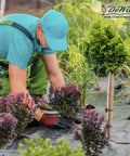 Gardener installing Weed Barrier Fabric Three Point Two Ounce Heavy Duty Ground Cover in garden with plants and shrubs visible.