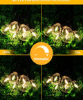 150 Ft Outdoor String Lights With Shatterproof G40 Bulbs dimmable options showcasing brightness levels on greenery background