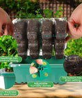 Indoor Seed Starter Trays With Grow Lights 72 Cell Kit Featuring Three Lighting Modes And Four Timers close-up of seedling trays.