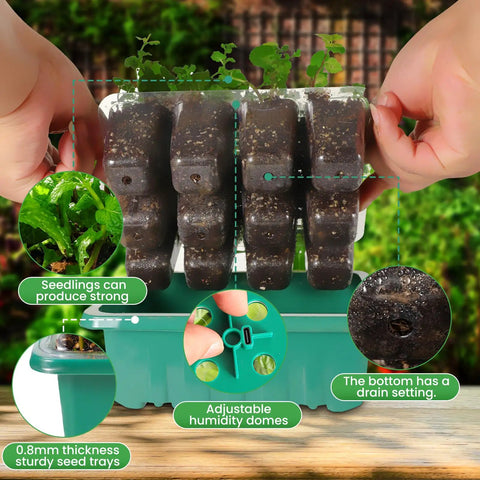 Indoor Seed Starter Trays With Grow Lights 72 Cell Kit Featuring Three Lighting Modes And Four Timers close-up of seedling trays.