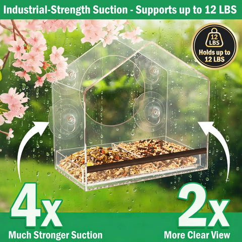 Window Bird Feeder With Four Extra Strong 2.36 Inch Suction Cups And Extra Deep Removable Tray For Large Capacity Clear Housing for outdoor use