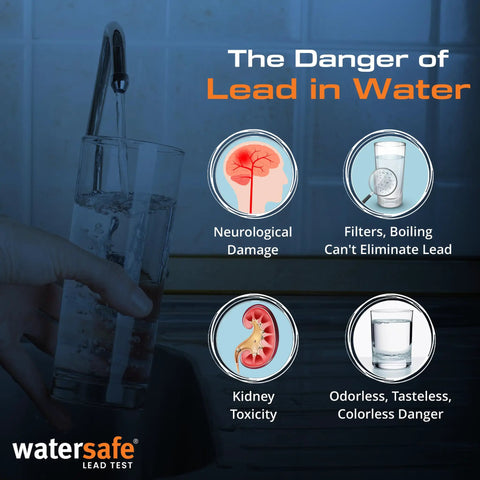 Graphic showing the dangers of lead in drinking water, highlighting neurological damage, filters, kidney toxicity, and invisibility.