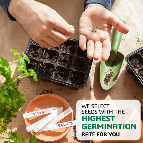 Planting seeds from 10 Herb Garden Kit Non GMO Heirloom Seeds For Indoor And Outdoor Windowsill Grow Kit With Thyme Lavender Chamomile Dill Chives Cilantro Rosemary Basil Parsley Sage Gift Idea