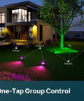 Smart Solar Spotlight Kit With Lit Color Changing Landscape Lighting App And Voice Control Outdoor IP67 Waterproof Pathway Lights illuminate house and garden for night outdoor lighting