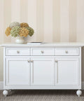 60 Pack Kitchen Cabinet Knobs Satin Nickel And Brushed Nickel Drawer Pulls And Door Knobs For Cabinets And Dressers Easy Install Euro Style Hardware