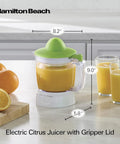 Hamilton Beach 34 Oz Electric Citrus Juicer With Silicone Gripper Lid easy press juice extraction on kitchen counter with oranges.