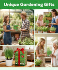 Indoor Herb Garden Starter Kit with four heirloom non GMO herb seeds, four pots, tools and markers, shown as a thoughtful gift.