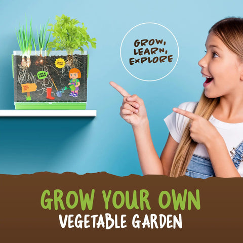 Child observing Root Viewer Plant Growing Kit For Kids See Through Planter STEM Science Toy with visible plant roots in soil.