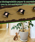Heavy Duty Biodegradable Paper Weed Barrier Roll 1.31x50 Ft For Lawn And Garden in use with plants in soil