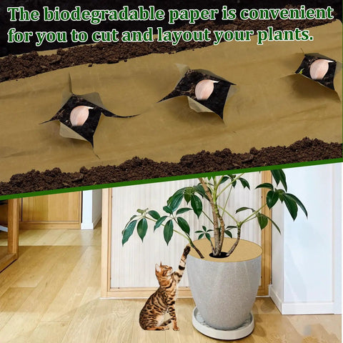 Heavy Duty Biodegradable Paper Weed Barrier Roll 1.31x50 Ft For Lawn And Garden in use with plants in soil