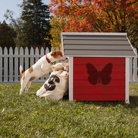 A dog sniffing around a red doghouse featuring an acrylic butterfly router template for woodworking, set in a backyard with grass and trees.