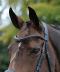 Close-up of horse wearing ComFiTec Vogue Anatomical Bridle With Ultra Soft Padding Headpiece, curved nose piece visible