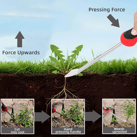 Illustration showing Two Prong Weed Puller Tool With Soft Grip Handle Stainless Steel Dandelion Weeder removing weed roots.