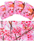 Four Pack 4 x 2 Feet Magnetic Fluorescent Light Covers With Cherry Blossom Decor on display showing pink floral pattern.