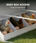 Wooden Chicken Coop For Backyard Hen House For 2 To 4 Chickens With Nesting Box, showing hens and eggs in compartments with easy egg access