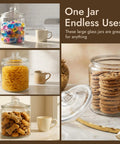 One Gallon Glass Cookie Jar With Airtight Lid For Cookies Candy Flour And Dog Treats Big Clear Large Kitchen Canister