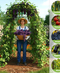 Super Sturdy 7 Foot Garden Arch Trellis For Climbing Plants with grape vines in backyard garden