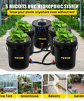 Image of Five Bucket Deep Water Culture Hydroponic Grow System For Indoor And Outdoor Leafy Greens With 5 Gallon Buckets, Efficient Pump