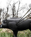 3D Hog Archery Target With Realistic Solid Body For True Field Practice, Vital Scoring Ring In Hit Zone, Includes Ground Stakes