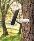 3W Solar Panel Power For Wireless Outdoor Security Cams With 6V Type C Port Non Stop Charging mounted on a tree in sunlight