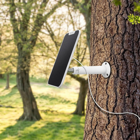 3W Solar Panel Power For Wireless Outdoor Security Cams With 6V Type C Port Non Stop Charging mounted on a tree in sunlight