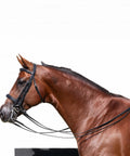 Double Bridle With Reins In Black For Warmbloods, Show Ring Ready, Traditional Style with raised padded cavesson noseband.