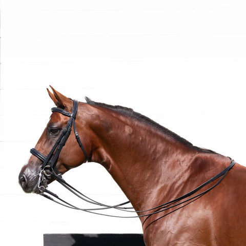 Double Bridle With Reins In Black For Warmbloods, Show Ring Ready, Traditional Style with raised padded cavesson noseband.