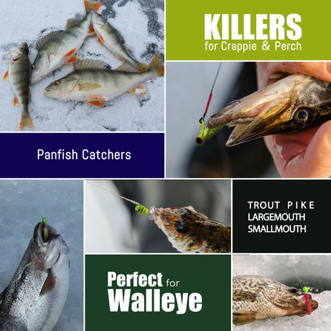 160 Piece Ice Fishing Jigs And Soft Worm Baits Kit With UV And Micro Glow For Walleye Crappie Panfish Trout All In One Winter Tackle Set For Ice Fishing Box Included being used to catch various fish species like perch, pike, and walleye.