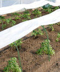 Mini Greenhouse Tunnel For Outdoors with green hoops and white PVC cover over garden plants