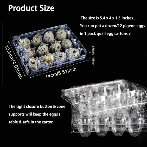 Clear 50 Pack Quail Egg Cartons Plastic With Lids And Rubber Bands, 12 Egg Capacity, showing stacked design and size