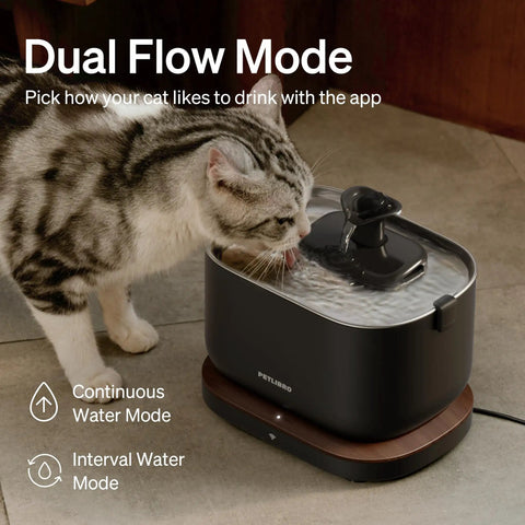 Smart Cat Water Fountain With App Monitoring And Stainless Steel Tray, 2.5L Automatic Water Dispenser in use by cat indoors