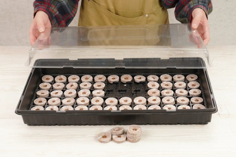 Hands assembling 72 Coconut Coir Seed Starter Pellets Kit With Humidity Dome And Watertight Tray 35mm Peat Free Pellets