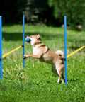 Dog jumping over blue and yellow 8 Set Dog Agility Jump System With Adjustable Hurdles For Indoor Outdoor Training