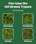 All Grass Types Lawn Fertilizer Twin Pack For 5000 Sq Ft Coverage 12.5 Lb includes Bermuda, Centipede, Zoysia, and Fescue grass images