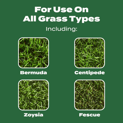 All Grass Types Lawn Fertilizer Twin Pack For 5000 Sq Ft Coverage 12.5 Lb includes Bermuda, Centipede, Zoysia, and Fescue grass images